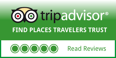 travel advisor